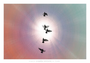 Galeriedruck Sisyphus Pictures 1