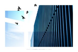 Galeriedruck Sisyphus Pictures 26