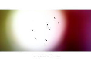 Galeriedruck Sisyphus Pictures 33